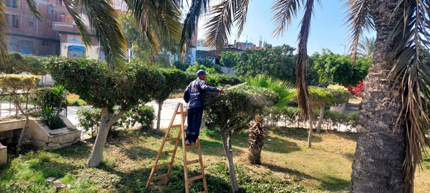 زراعة 175 ألف شجرة بالميادين والمدارس ومراكز الشباب بكفر الشيخ