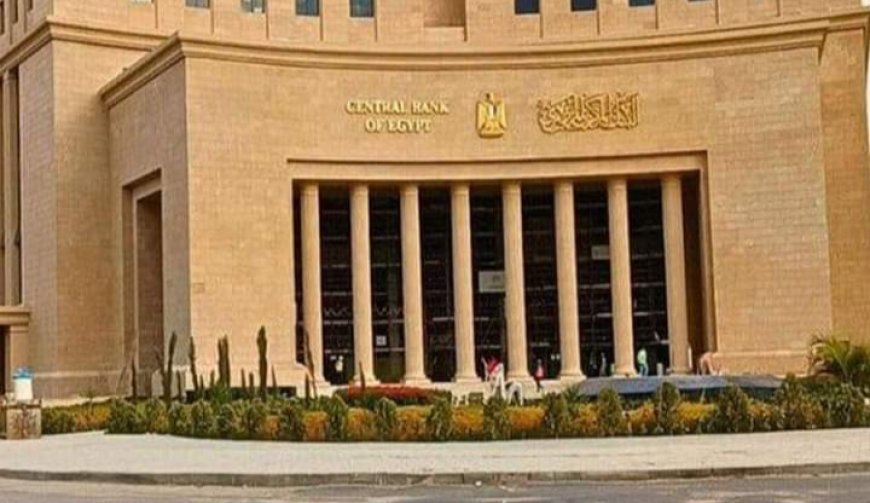 البنك المركزي المصري يعلن ارتفاع النقد الأجنبي 46,59 مليار دولار وتثبيت سعر الفائدة