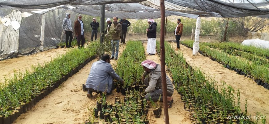 محطه بحوث الشيخ زويد تطلق مبادره إحياء زراعه  أشجار اللوز