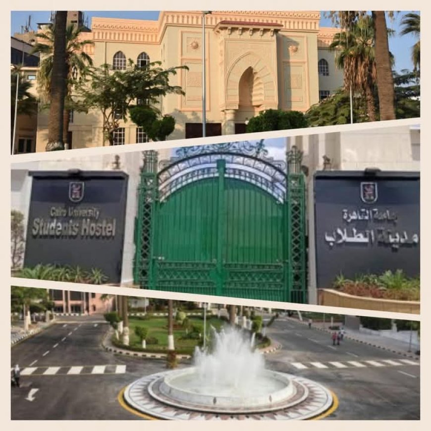 جامعة القاهرة تستقبل مكتب التنسيق