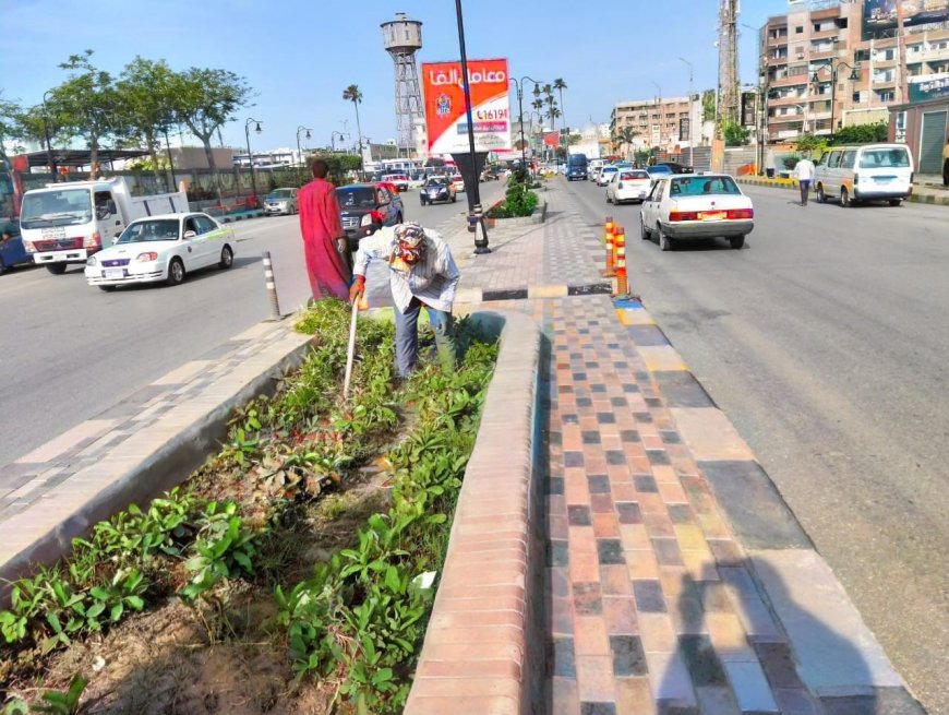 تجميل الأشجار وإزالة الحشائش بشرق كفر الشيخ