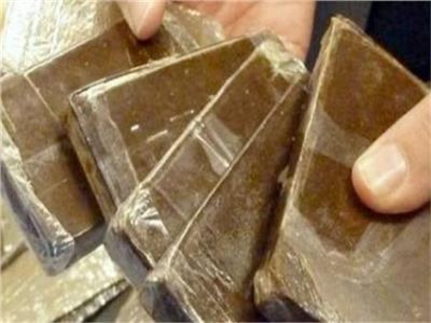 ضبط عاطلين ببيلا بحوزتهما مواد مخدر وسلاح ناري يقدر قيمتها بـ 400 ألف جنيه