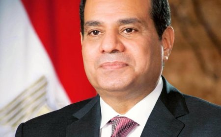رئيس الجمهورية :يوجه الحكومة بزيادة التعويضات في حادث طريق أشمون 