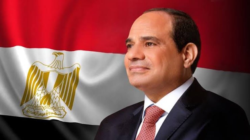 مصر تؤكد دعمها للسلام وتواصل جهودها لنجدة الأشقاء في غزة