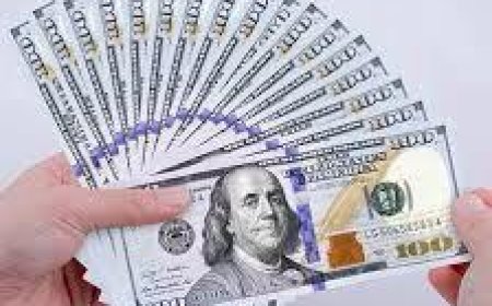 استقرار سعر الدولار أمام الجنيه المصري 28 يوليو 2025 