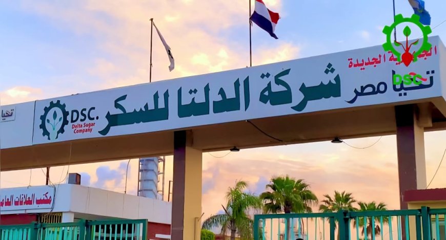 مزارعو كفر الشيخ يشكرون «الدلتا للسكر» على نجاح موسم توريد بنجر السكر