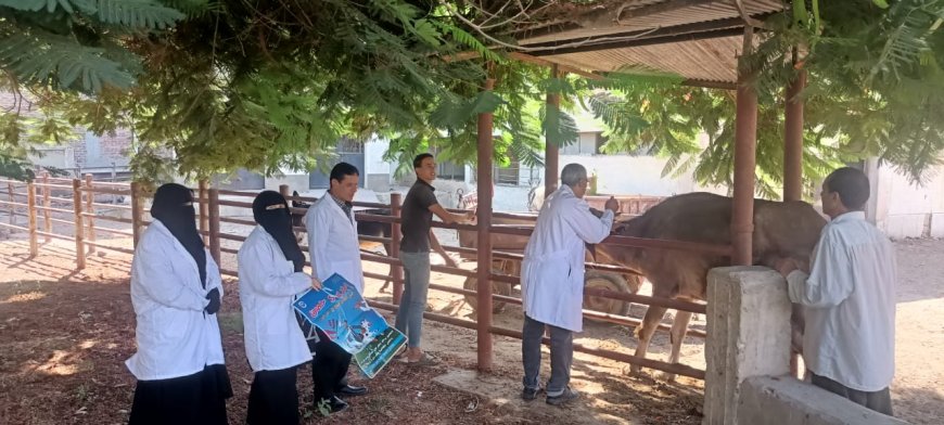 محافظ كفرالشيخ يعلن انطلاق الحملة القومية للتحصين ضد فيروس الحمى القلاعية( العترة SAT1) بجميع قرى ومراكز المحافظة
