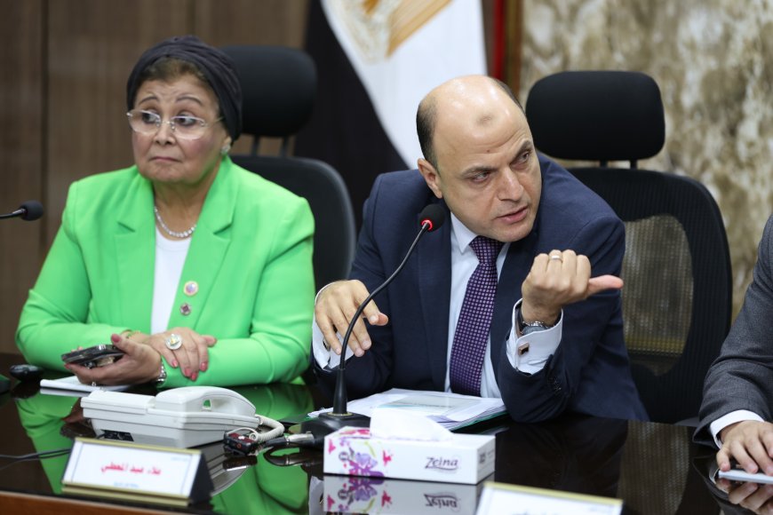 محافظ كفرالشيخ يترأس اجتماع المجلس الإقليمي للسكان ضمن المبادرة الرئاسية «الألف يوم الذهبية لتنمية الأسرة المصرية»