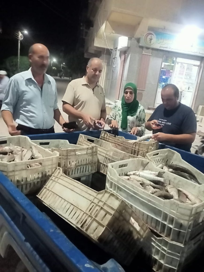 ضبط 400 كيلو أسماك غير صالحة للاستهلاك الآدمي بمطوبس