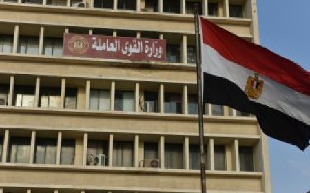 "القوى العاملة": "مبادرة سلامتك تهمنا" تنطلق بكفر الشيخ