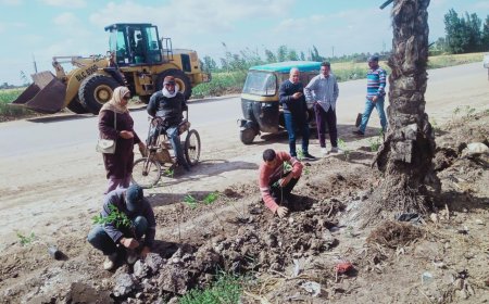 تكثيف الحملات الدورية للارتقاء بالخدمات المقدمة للمواطنين في بيلا