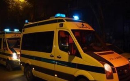 إصابة 6 أشخاص في تصادم ميكروباص بتاكسي طريق العجوزين دسوق بكفرالشيخ