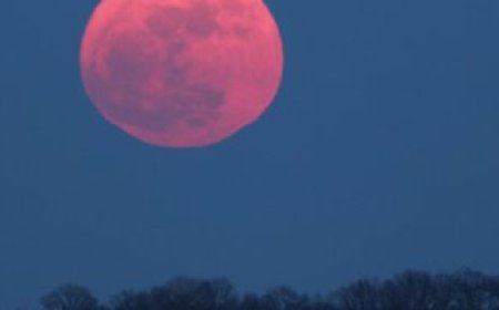 القمر الوردى الكامل سيظهر مع 3 كواكب فى سماء الليل بعد عده ايام!