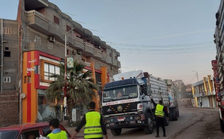 جمعية رواد الكشافة والمرشدات فرع بيلا بكفر الشيخ