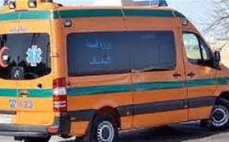 إصابة 4 أشخاص بحالات اختناق في حريق بقرية بكفر الشيخ