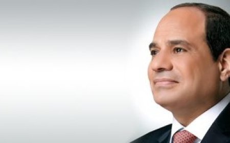 الرئيس السيسى يهنئ منصور وهزاع وطحنون وخالد بن زايد بالتعيينات القيادية