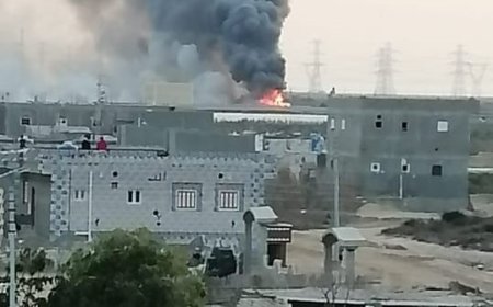 حريق يلتهم 8 ألاف فرخ بمزرعة بقرية بكفر الشيخ