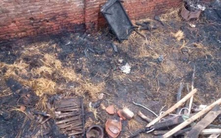 نيران تلتهم منزلا و4 حظائر وإصابة  3 أشخاص بكفر الشيخ