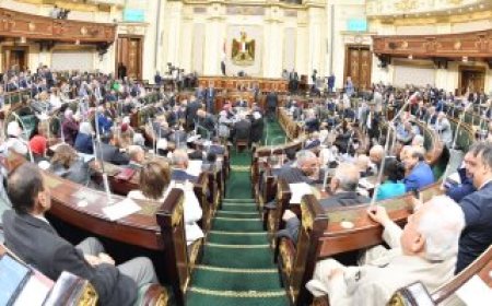 مشروع قانون الجنسية يحقق مبدأ المساواة بين الرجل والمرأة..