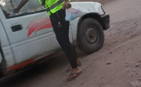 كشافة ابشان يواصلون افطار رمضان بكفرالشيخ