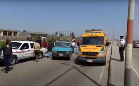 للمرة الثالث حملة مكبرة لإزالة التعديات على الاراضي الزراعية مركز الرياض الطريق الدولي بكفر الشيخ