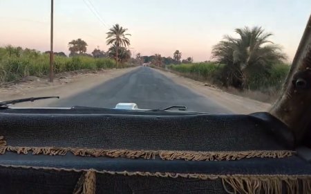 ثلاثة أخوة يطلّقون زوجاتهم معاً في لحظة واحدة ، لانهنّ لم يهتمن بوالدتهم فى إحدى قرى الأقصر