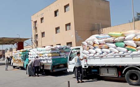 بدء توريد القمح بالصوامع بمركز ومدينة دسوق بكفرالشيخ 