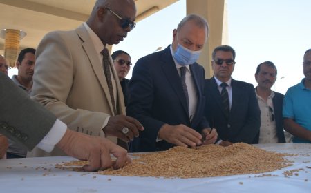 محافظ القليوبية يتفقد صوامع القمح بمدينة بنها لمتابعة أعمال التوريد ويؤكد على إنتظام العمل وتوريد أكثر من 4 آلاف طن حتى الآن