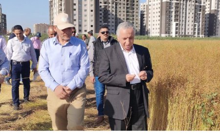 رئيس البحوث الزراعية يفتتح حصادالمحاصيل الشتوية بمحطة البحوث الزراعية بسخا