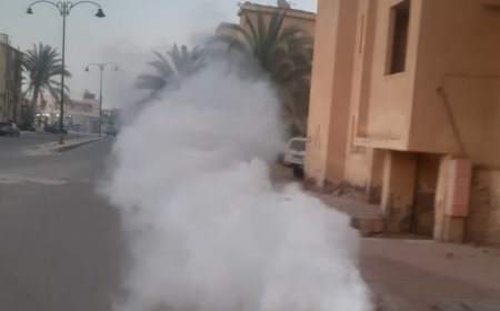 حملات مكبرة للنظافة والتجميل ورفع المخلفات بمطروح