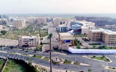 جامعة كفر الشيخ تحصد المركز الرابع في مؤشر الأداء البحثي لتصنيف سيماجو (Scimago) لعام 2023