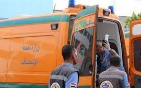 مصرع طفلين وإصابة ثالث في حادثين بكفر الشيخ