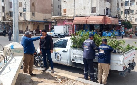حملات نظافة وزراعة الأشجار ضمن مبادرة 100 مليون شجرة بدسوق بكفرالشيخ 