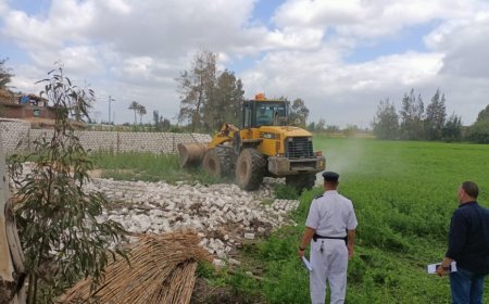 محافظ كفر الشيخ: تنفيذ 12 قرار إزالة بفوه على مساحة 1251 م2 ضمن الموجة الـ 21