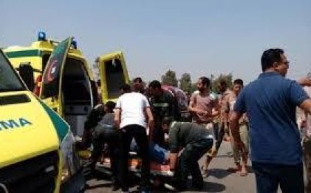 مصرع شخصين في حادث انقلاب سيارة بترعة بكفر الشيخ