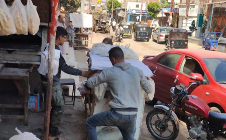 إزالة 40 إعلانا مخالفا وحملة مكبرة لإزالة الإشغالات في بيلا وإبشان بكفرالشيخ