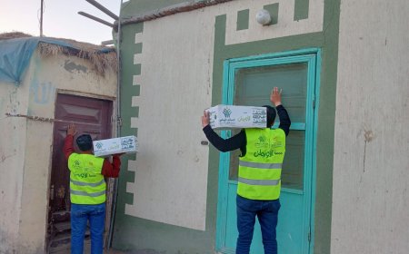 التضامن والأورمان يستعرضات ما تم تحقيقه من إنجازات بمحافظة كفرالشيخ