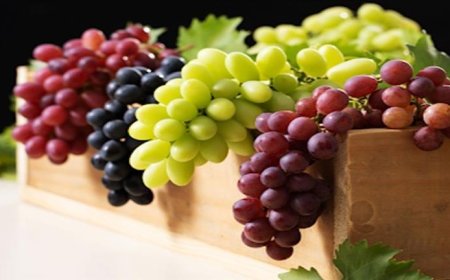 فوائد مدهشة ستجعلك تتناول الزبيب يومياً!