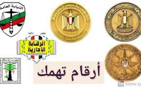 أرقم تليفونات تهمك في مصر 