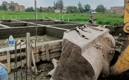 إزالة حالتين على الأراضي الزراعية وأملاك الدولة ببلطيم وفوه