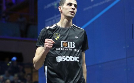 "وادى دجلة" أكثر الأندية تمثيلًا في ربع نهائي بطولة العالم للإسكواش