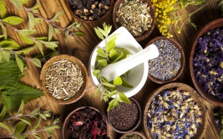 تعرف على أفضل الأعشاب الطبيعية لعلاج حساسية الربيع