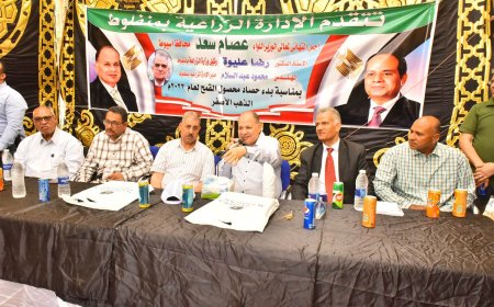 محافظ أسيوط يتفقد حصاد محصول القمح بأحد الحقول بمنفلوط