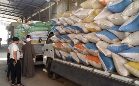 ضبط أكثر من 68 طن قمح ب 4 مصانع بـ4 مراكز بكفر الشيخ