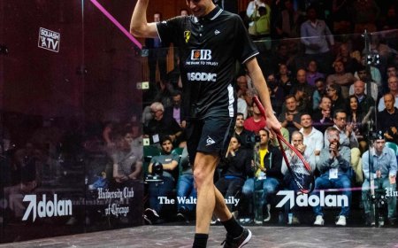 علي فرج ونوران جوهر يمثلان "وادى دجلة" في نهائي بطولة العالم للإسكواش