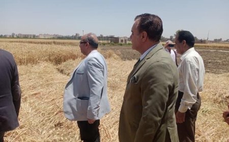 نائب محافظ المنيا : شون وصوامع المحافظة تستقبل 162 ألف طن من محصول القمح