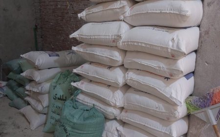 ضبط 20 طن دقيق بمخزن قبل بيعها بالسوق السوداء بقرية بدسوق بكفرالشيخ