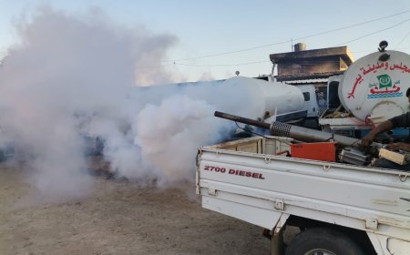 بيلا تكثّف أعمال مكافحة البعوض وتجميل الشوارع بحملات رش ونظافة مسائية بكفرالشيخ