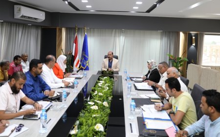 محافظ أسوان يحيل تقرير فنى عن مخالفات بالحملة الميكانيكية للنظافة إلى النيابة العامة