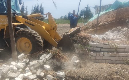 محافظ كفر الشيخ: تنفيذ 13 قرار إزالة تعديات علي أراضي الدولة في بيلا ضمن «الموجة الـ21»